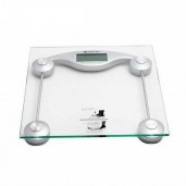 Digital personal weight scale
